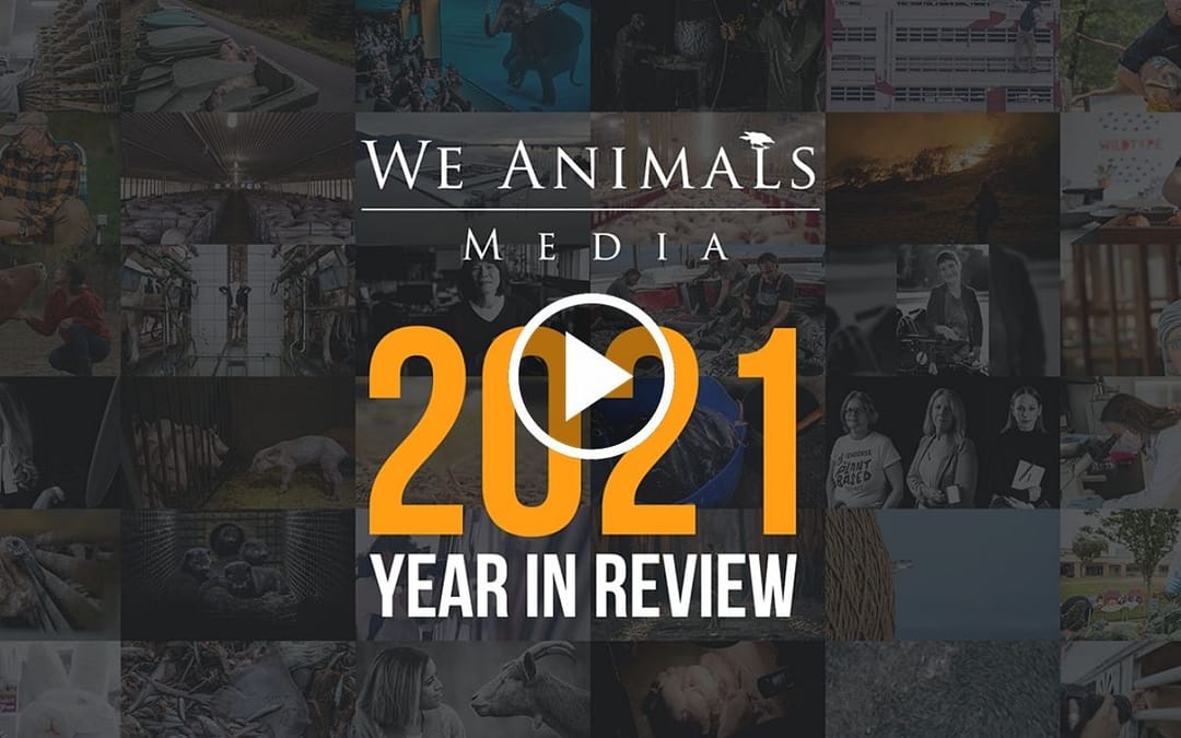 2021: A Year In Review