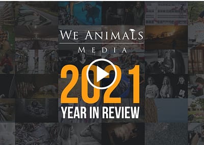 2021: A Year In Review