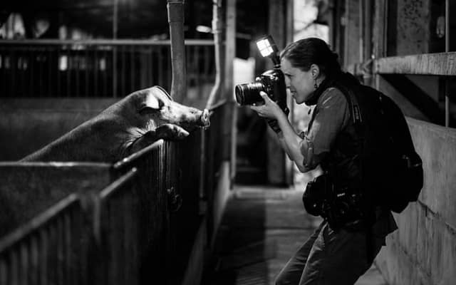 Jo-Anne McArthur in a pig farm. Taiwan, 2019. Kelly Guerin / We Animals Media