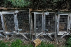 Empty cages that, for years, held foxes at a fur farm that has now been closed down. Canada, 2014.