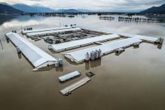 A farm sits partially submerged in water from the Abbotsford, BC floods in November of 2021.