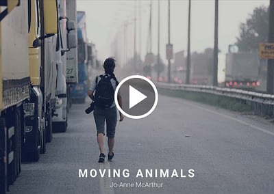In the Field: Moving Animals