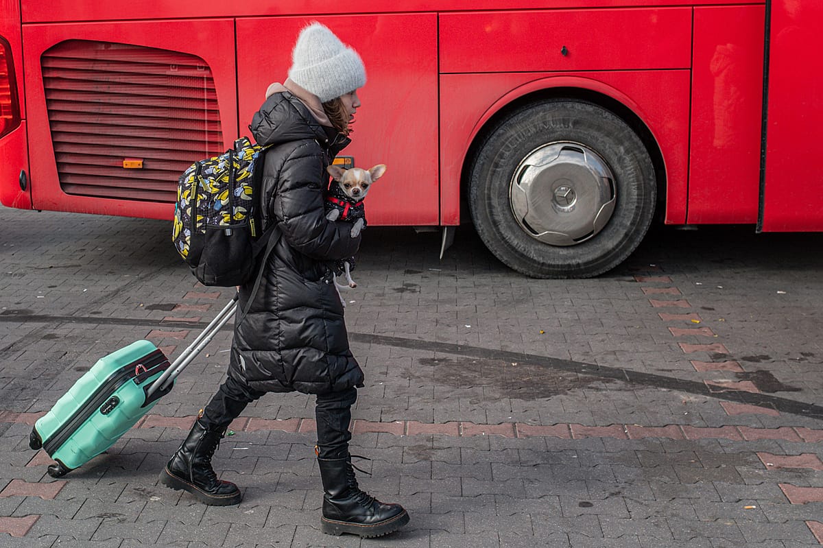 A young Ukrainian woman carries all that she holds dear as she walks through the parking lot of a former shopping mall in Przemysl which has been converted to a temporary refugee shelter. The parking lot is filled with buses and other vehicles that are available to transport Ukrainian refugees throughout the EU. Poland, 2022. Miloš Bičanski / We Animals Media
