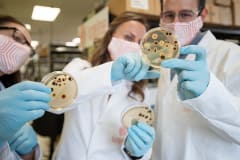 TurtleTree's Amanda Fischer, Vanessa Castagna, and Ignacio Vargas examining Petri dishes at the company's research lab.