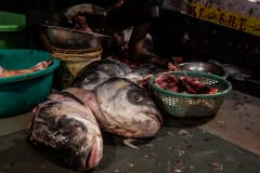 Heads of bigger fish are kept separately to be sold. Fish heads are used in specific recipes that are considered a delicacy. India, 2021. S. Chakrabarti / We Animals Media
