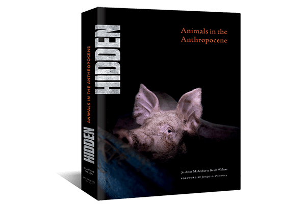 HIDDENCOVER600