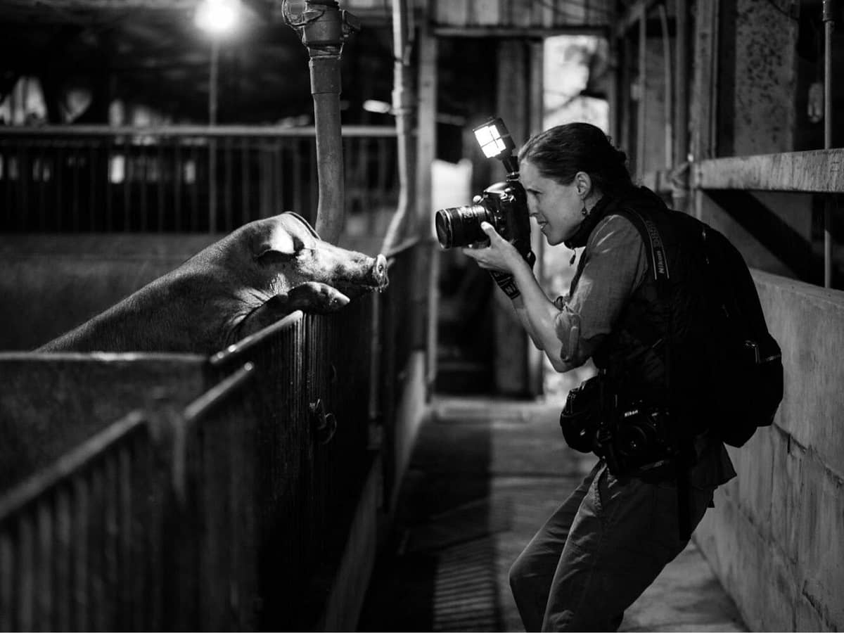 We Animals Media Founder Jo-Anne McArthur documenting conditions inside a pig farm. Taiwan, 2019. Kelly Guerin / We Animals Media