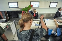 A parakeet trained to sense debilitating migraine headaches hours before they occur. 2011.