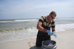 A BP toxicologist collects daily water samples at Dauphin Island. He stated that each of his collections showed clean, oil-free results. USA, 2010.
