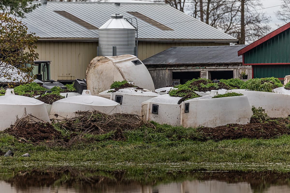 Multiple calf hutches piled up after being swept away by the Abbotsford, BC floods. Canada, 2021. Nick Schafer / We Animals Media