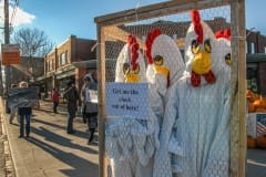 Protest against keeping layer hens in cages. Canada, 2006.