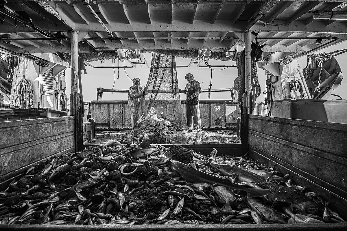 Fishermen empty the trawler nets into a hold on ship. France, 2018. Selene Magnolia / HIDDEN / We Animals Media