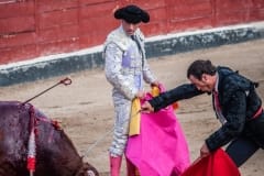 This Matador takes a "killing sword", which has a four-inch blade with a cross-bar above it, and attempts to sever the bull's spinal cord. Spain, 2009.