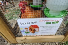 A sign advertising chicken rentals.