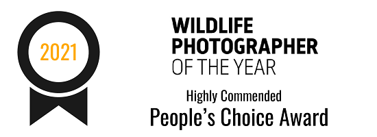 Wildlife Photographer of the Year | People’s Choice Award: Highly Commended (2021)