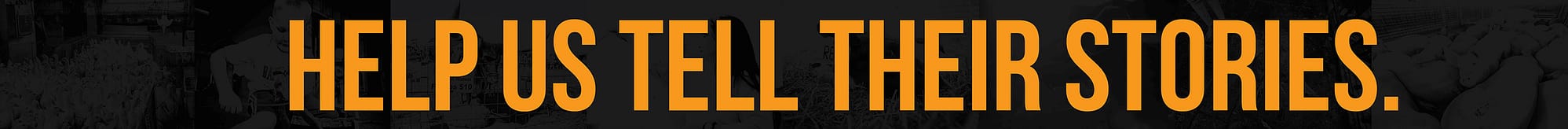 HeaderImage11