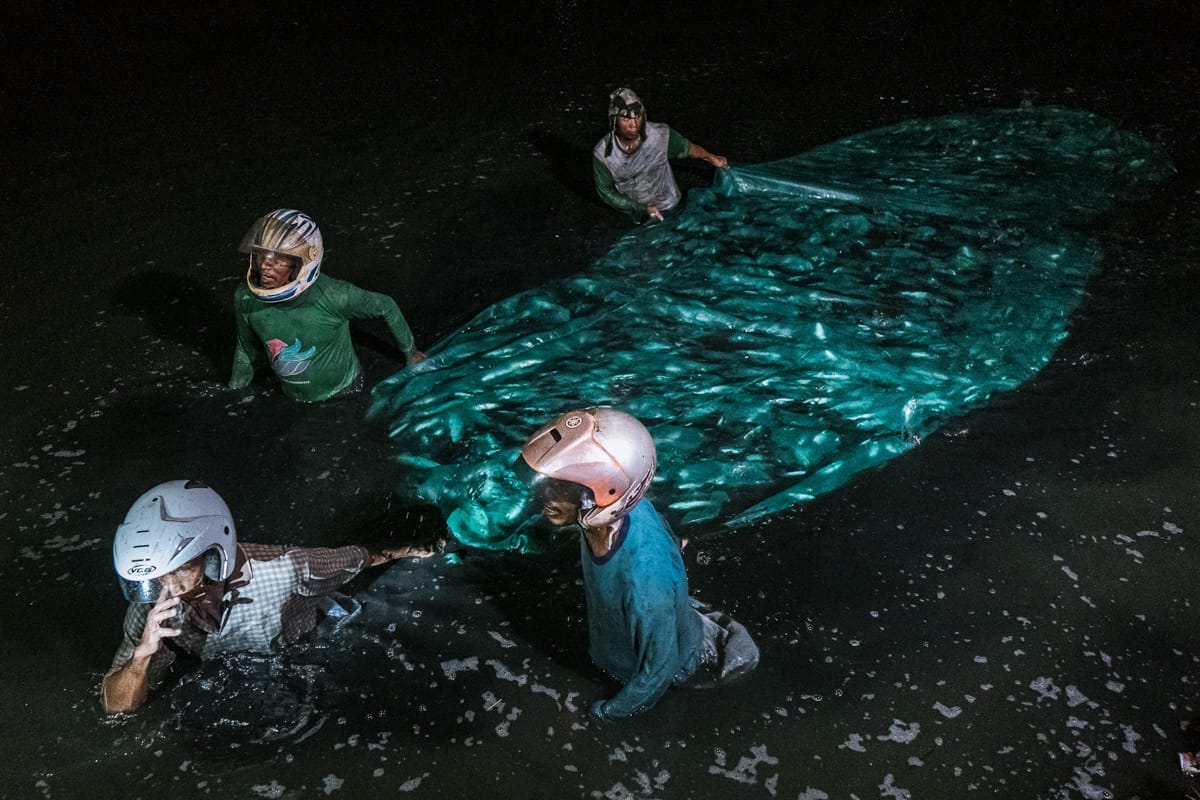 During a nighttime harvest at an Indonesian fish farm, workers wearing protective helmets wade through the water of a fish pond while pulling a mesh harvesting net tightly packed with captured milkfish. Crowding the fish together deprives them of oxygen and they will eventually suffocate. Indonesia, 2021. Lilly Agustina / Act for Farmed Animals / We Animals Media