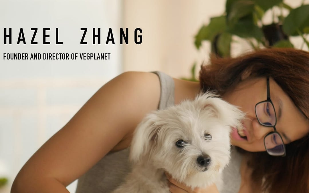 Hazel Zhang