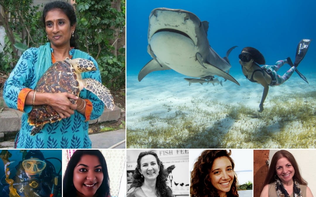 Seven Women Protecting Oceans and Sea Life