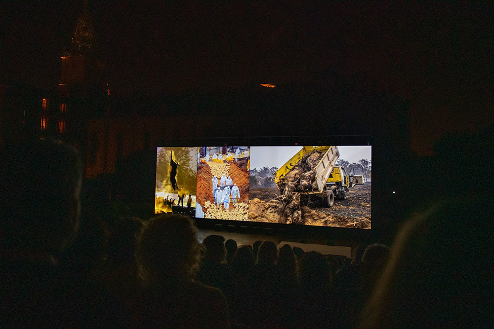 Perpignan festival attendees watch images from HIDDEN projected onto a big screen. Jo-Anne McArthur / We Animals Media