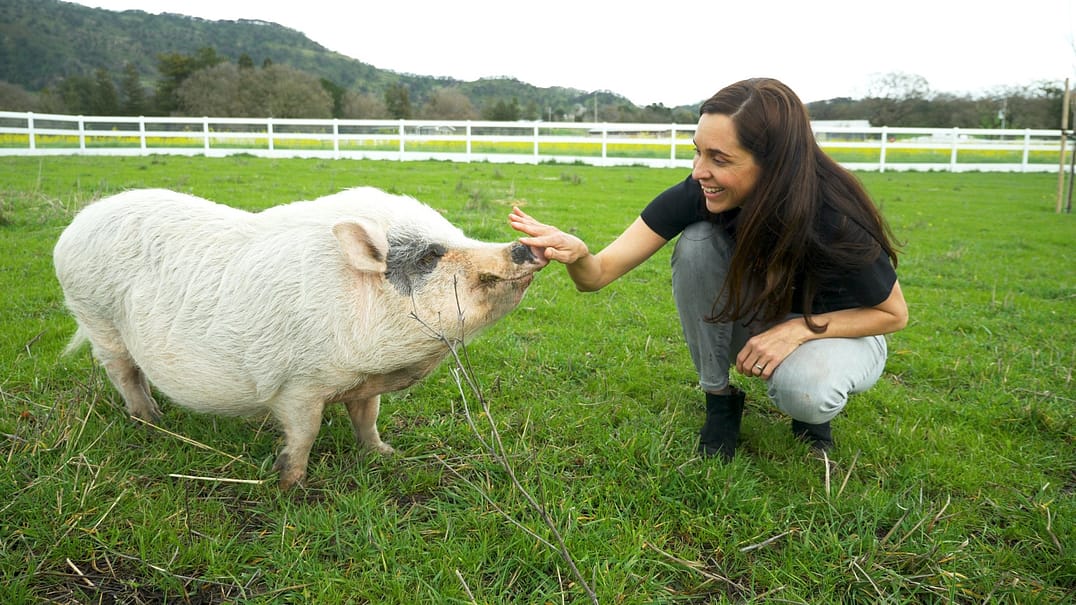 Leah Garcés and a rescued pig.