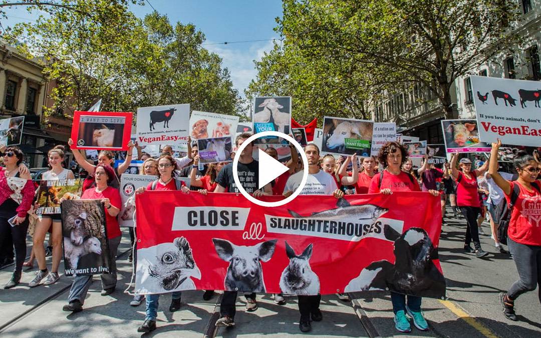 Activism in Australia