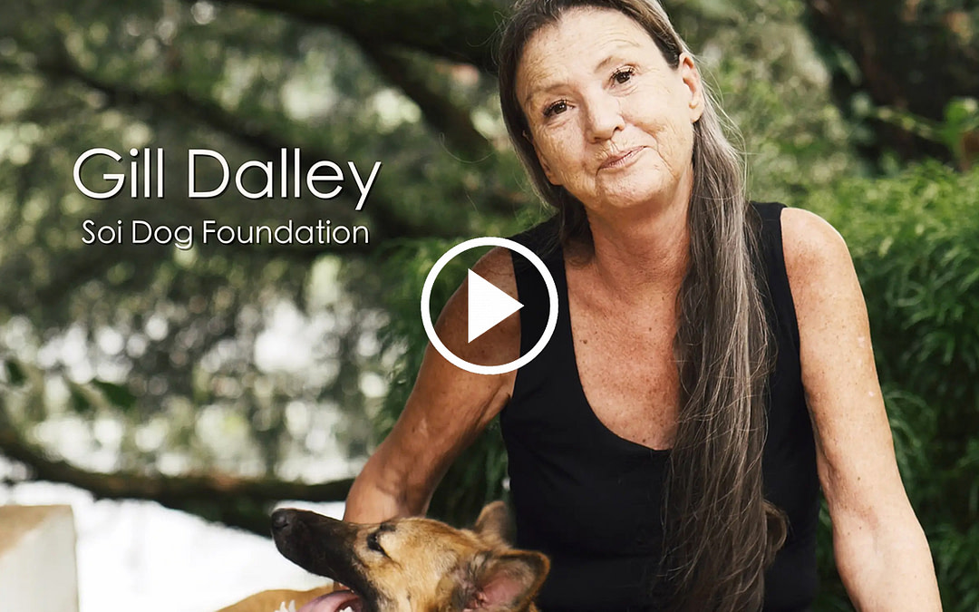 Gill Dalley