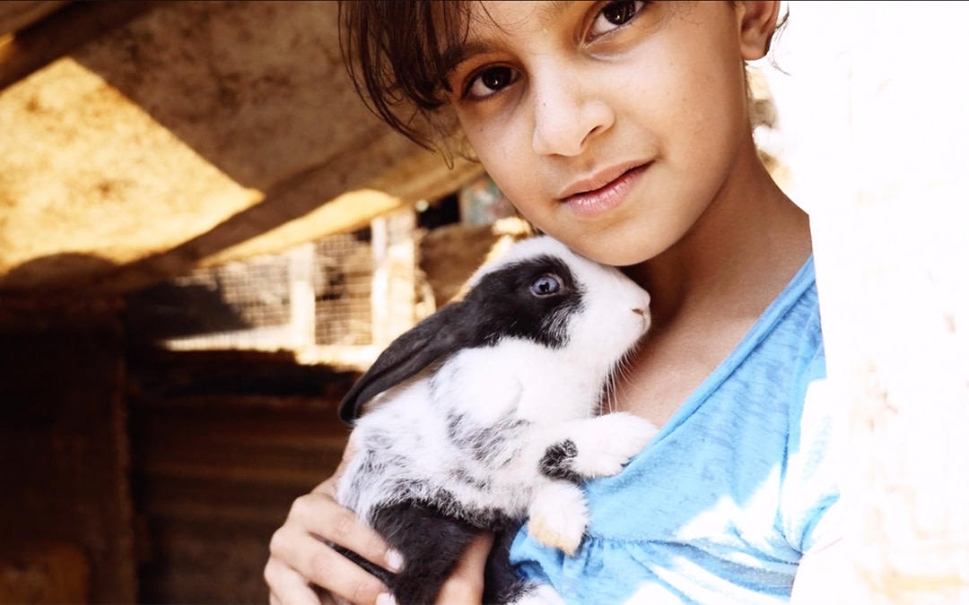 Nations of Their Own: A We Animals Media Feature Film by Kelly Guerin
