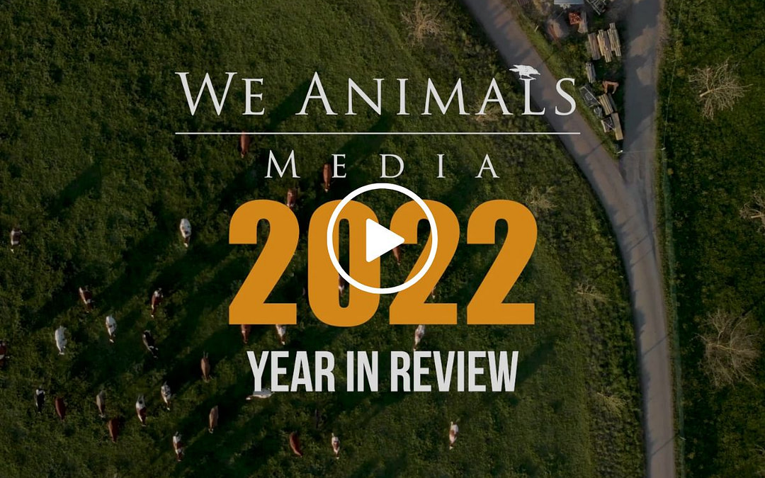 2022: A Year In Review
