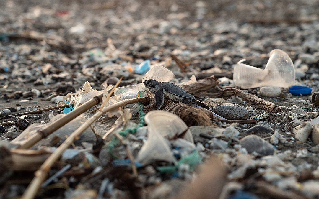 Our Top 10 Images For Earth Day