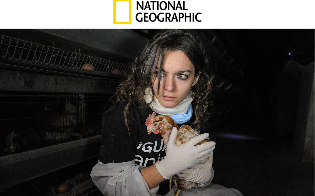 National Geographic Features Our Open Rescue Photography