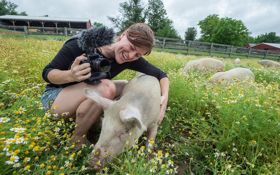 Best Online Photography Courses for Animal Photojournalists