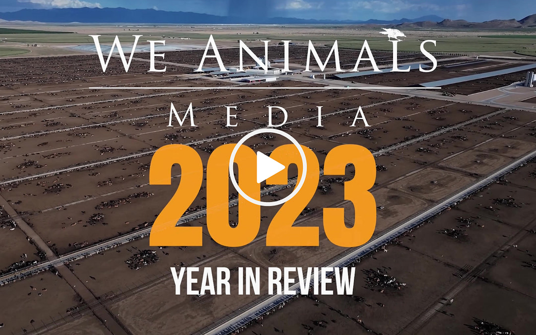 2023: A Year In Review