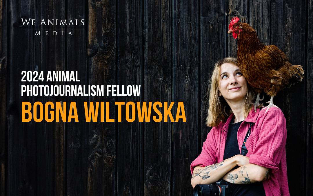 Announcing Our 2024 Animal Photojournalism Fellows
