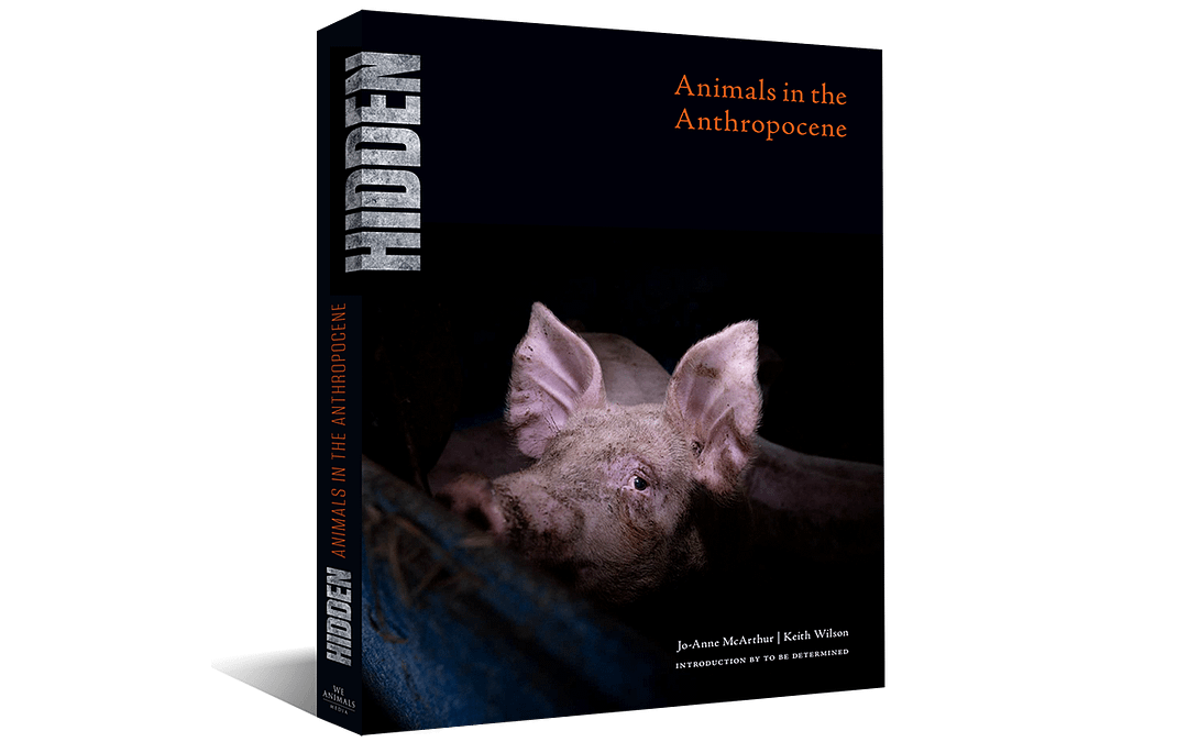 Announcing HIDDEN: Animals in the Anthropocene