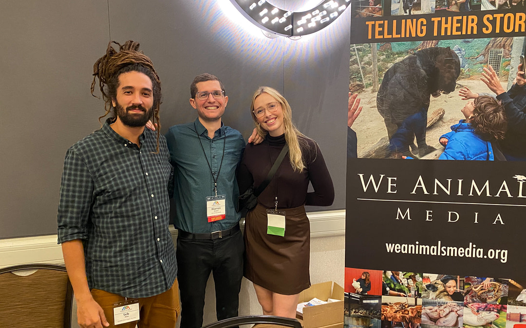 Communication Workshop Report from the 2022 Animal & Vegan Advocacy Summit