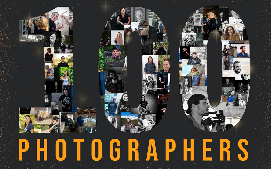 100 Photographers Bringing You Animal Stories