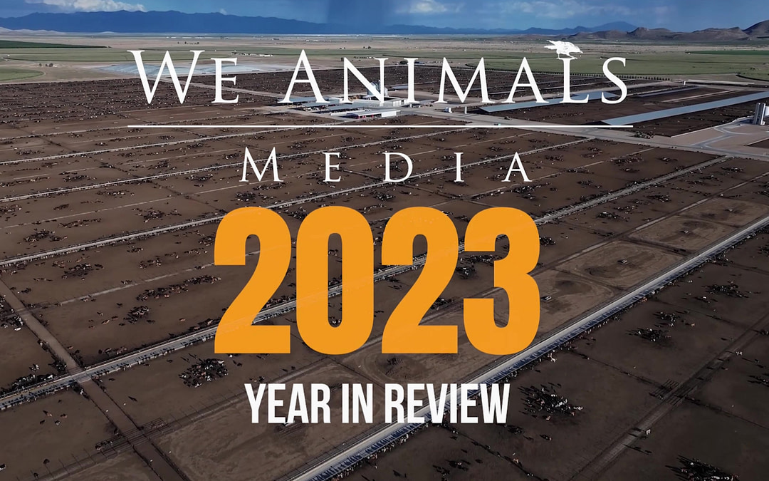 We Animals Media in 2023: A Year of Growth and Impact