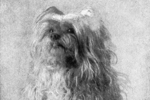 Elizabeth Stuart Phelps