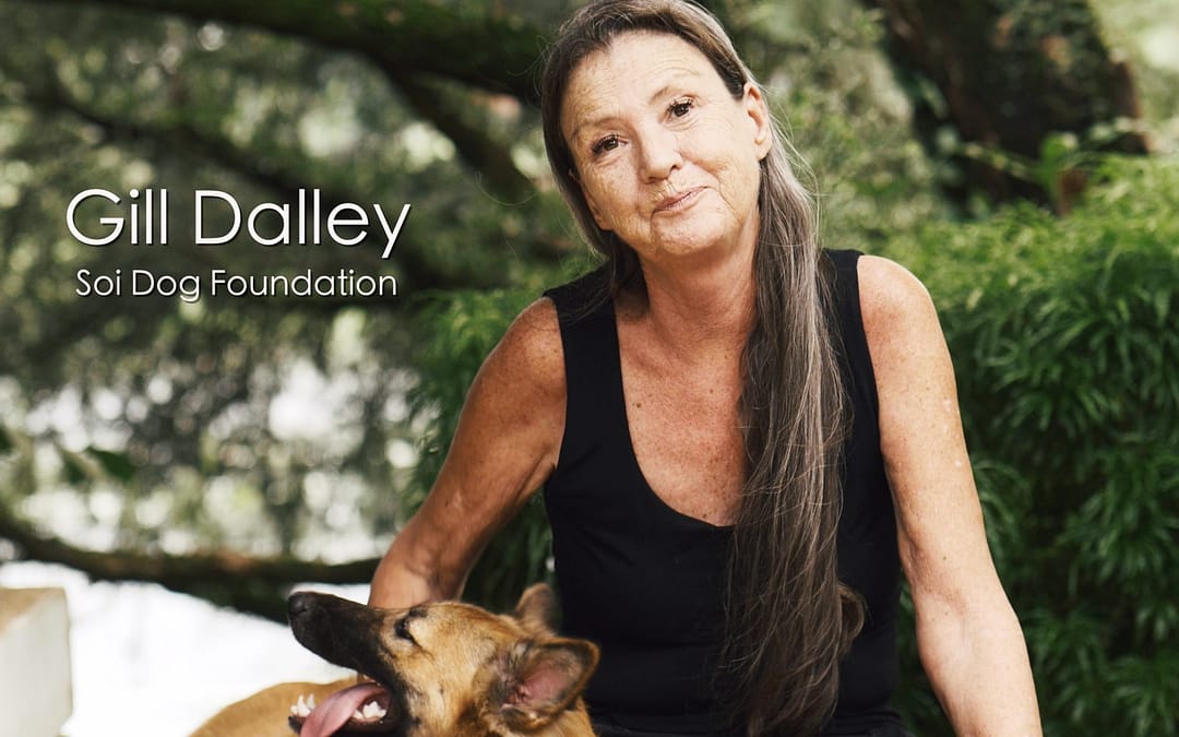 A Tribute to Gill Dalley of the Soi Dog Foundation