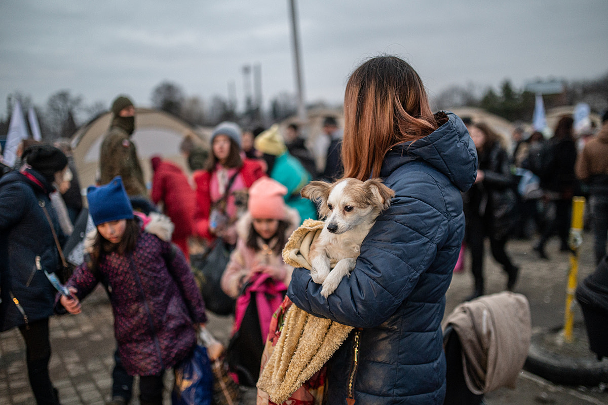 In Photos: Refugees And Their Companion Animals Flee War In Ukraine