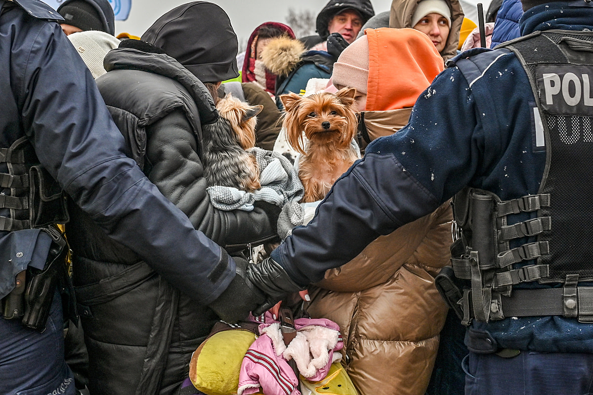 Two small dogs are held tightly by their human guardians at the Ukrainian Polish border in Medyka, Poland. At this border crossing, one of eight in Poland, the crowd is made up of mostly women, children and companion animals since men under the age of 60 are not allowed to leave Ukraine. Poland, 2022. Miloš Bičanski / We Animals Media