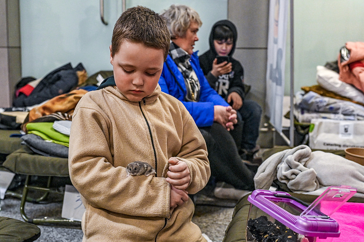 A young Ukrainian refugee cradles his pet hamster as he waits at the Kraków train station in Poland. The station has been converted to a makeshift shelter for incoming refugees from the Russian invasion of Ukraine, providing food, a warm place to rest, information and free train tickets to anywhere in Poland. Poland, 2022. Miloš Bičanski / We Animals Media