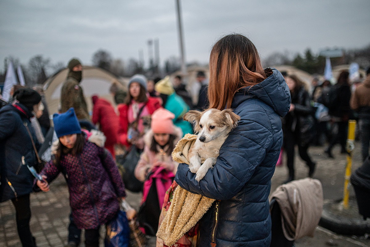 A Ukrainian refugee from Kharkov arrives at the Polish Ukrainian border in Medyka with her three young children and their two dogs. Her husband is in the army and remained behind to defend his country. Poland, 2022. Miloš Bičanski / We Animals Media