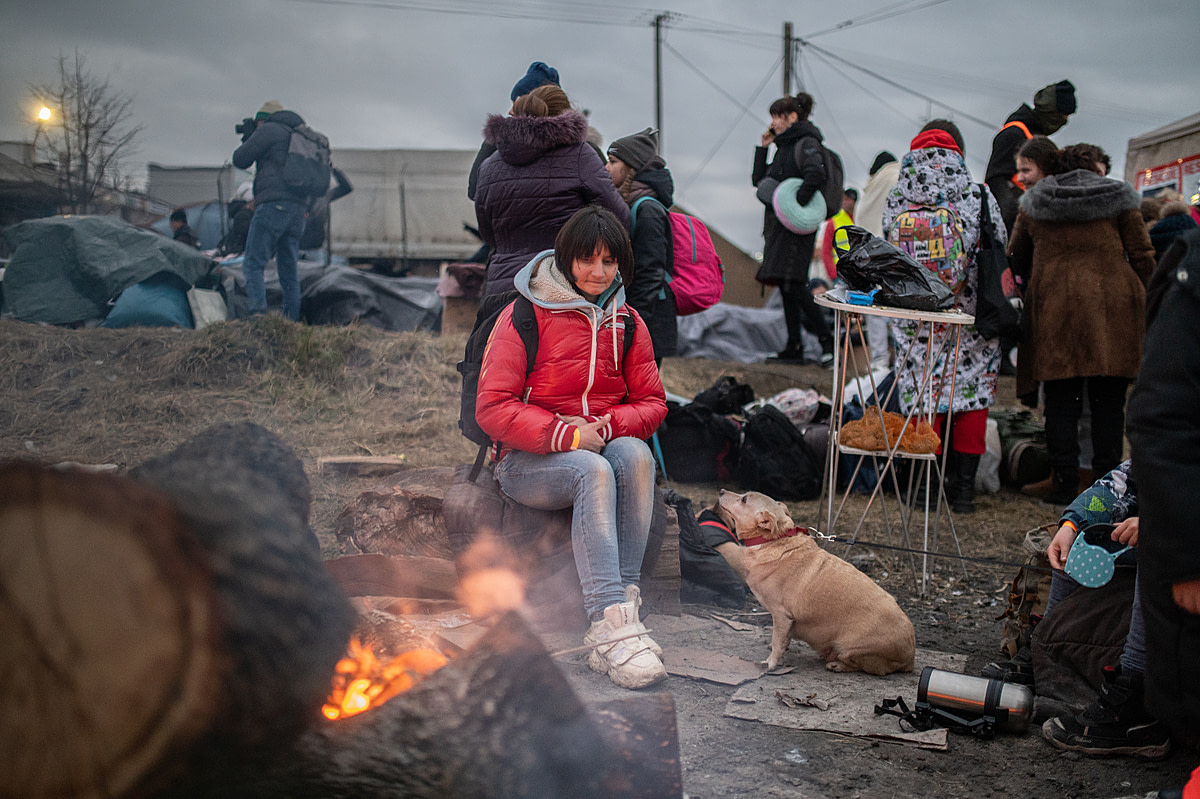 Ukrainian refugees, both human and animal, sit around a fire to warm themselves in the Polish border town of Medyka. As thousands of refugees continue to cross the border here each day, volunteers have set up empty petrol barrels to burn wood so that those who are unable to move indoors can get some relief from the cold. Poland, 2022. Miloš Bičanski / We Animals Media