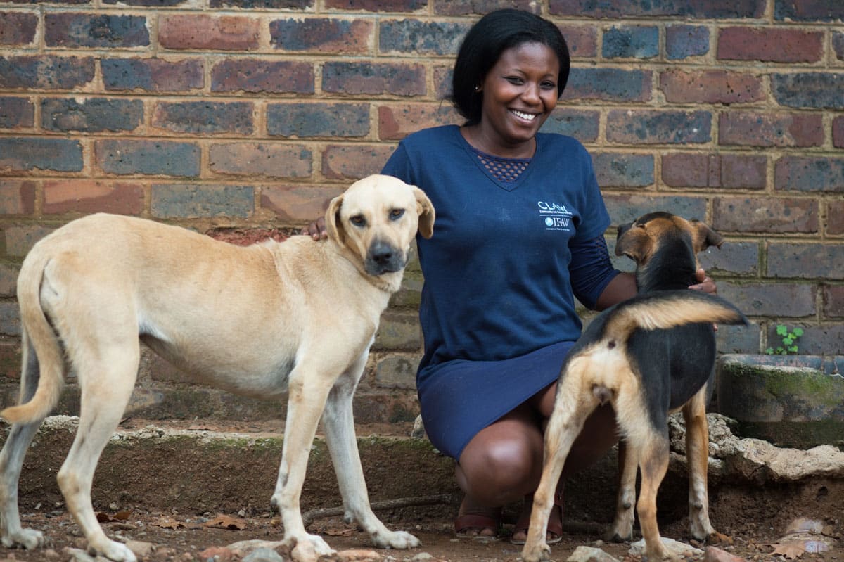 Lumka Golintete with dogs rescued by CLAW