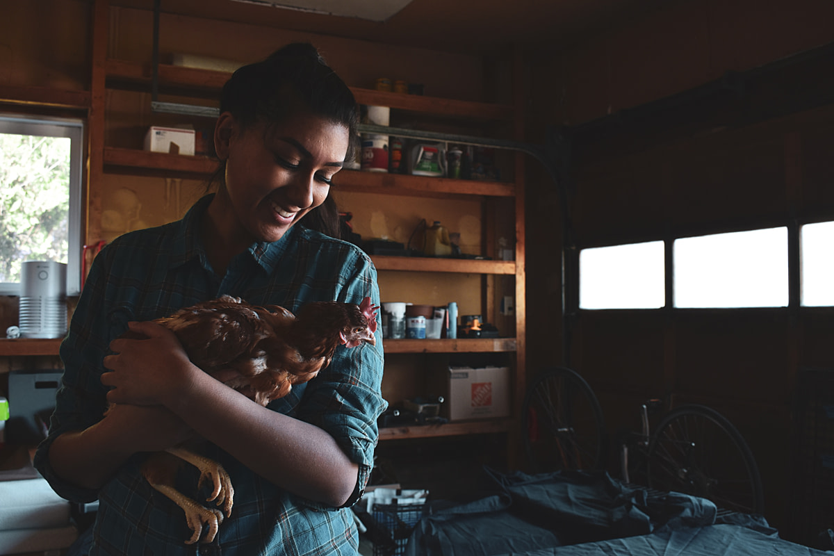 A laying hen rescued from a cage-free, organic farm that is closing its operations peers around volunteer Tanvi Varma's shoulder. Tanvi works as a local television reporter and assisted negotiations with farm staff to release the hens to rescuers. Tanvi now experiences the outcome of her efforts. Oregon, USA, 2024. Diana Hulet / We Animals Media
