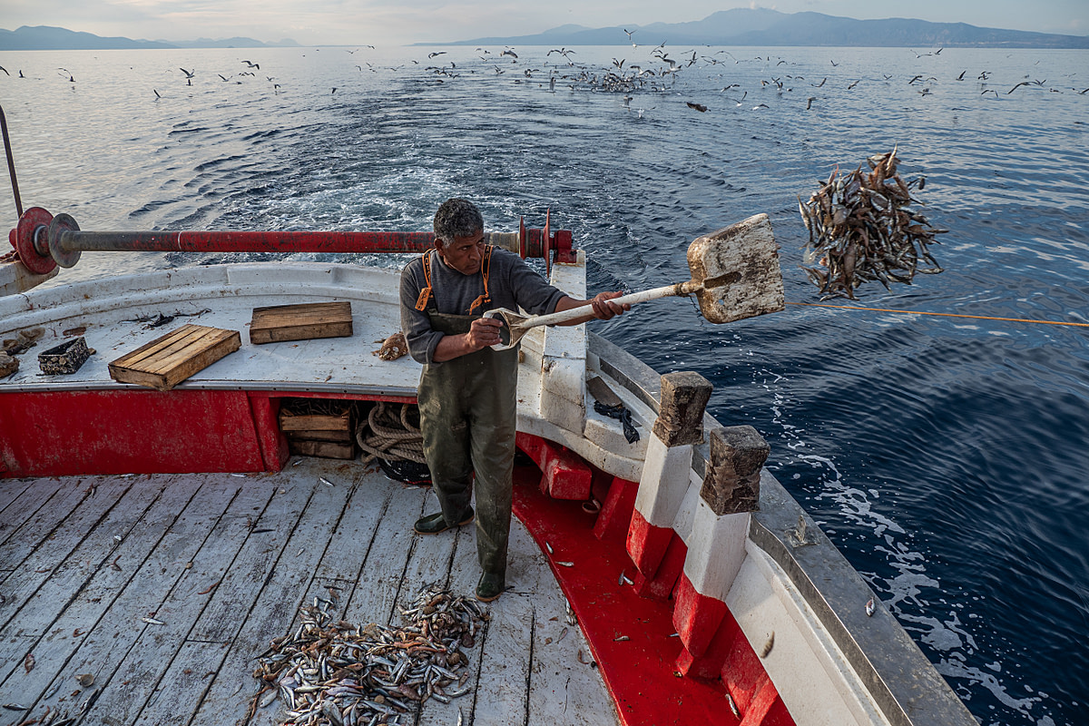 After suffocating on the deck during the sorting process, a worker onboard the fishing boat Fasilis, shovels by-catch back into the sea. Greece, 2020. Selene Magnolia / We Animals Media