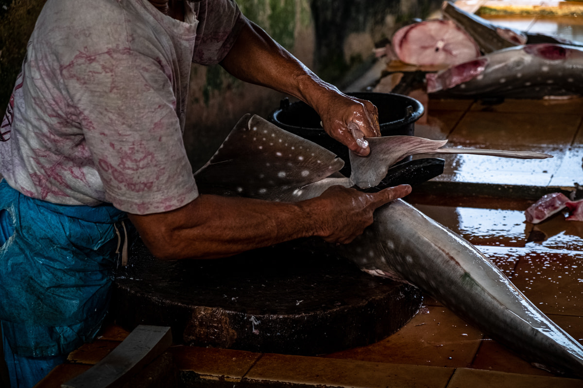 At a traditional Indonesian market, a worker butchers a large shark. Merchants prioritize large sharks because they have large fins, which sell for a higher price per kilogram than small fins.