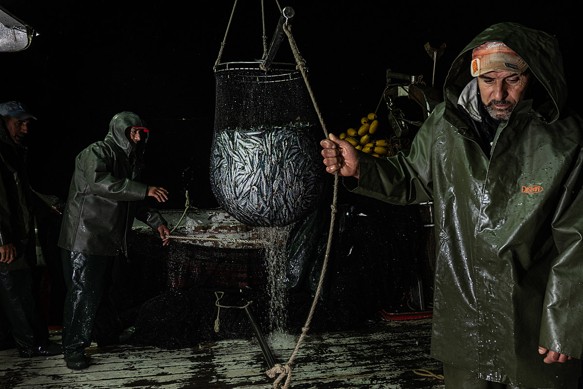 Deck crew collects sardines onboard the purse seine fishing boat Pandelis II. Greece, 2020. Selene Magnolia / We Animals Media